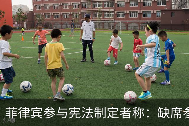 菲律宾参与宪法制定者称：缺席参议员不应计入副总统弹劾案投票